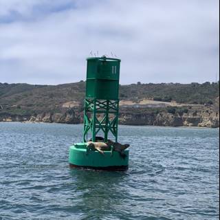 Green Buoy in the Pacific Ocean