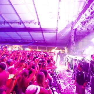 Purple-lit Crowd at Coachella Concert