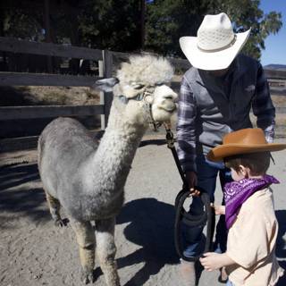 Ranch Adventures with a Llama Friend