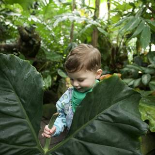 The Curiosity of Youth Amid the Foliage