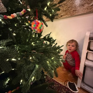 Toddler's First Christmas Tree Moment at Home