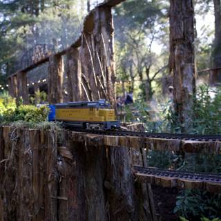 Nature's Railway