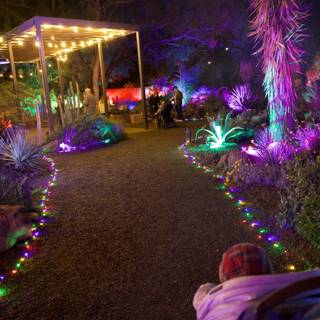 Enchanted Night at the Garden of D'Lights