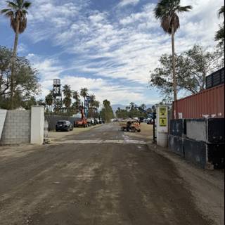 Palm-Lined Pathway
