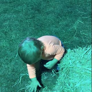 Exploring the Green World