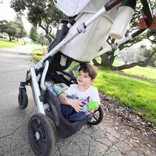 Young Boy in Stroller Enjoying Park Walk