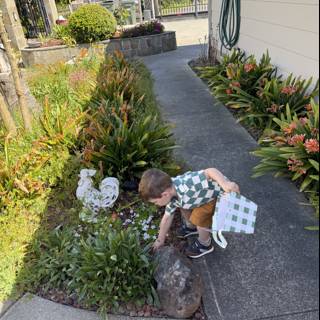 Springtime Discoveries
