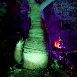 Enchanted Night at the Garden of D’Lights