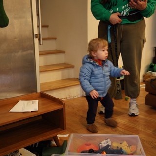 Young Child Exploring Indoor Play Area at Home