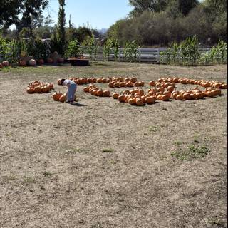 Pumpkin Picking Adventure