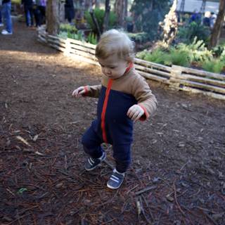 First Steps in the Forest