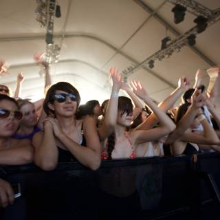 Energetic Crowd at Coachella Music Festival