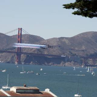 Majestic Flight over San Francisco Bay