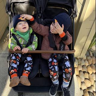 Playful Morning in Carmel