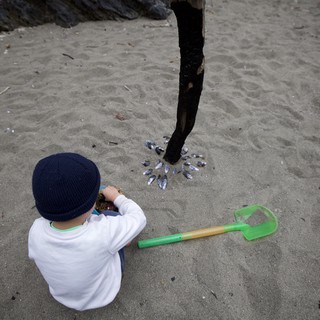 Child Explores Beach Finds Near Driftwood Post