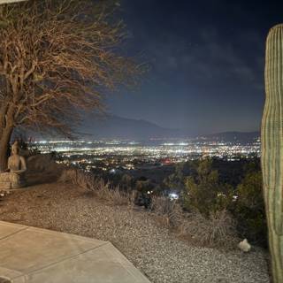 Serenity in the Desert Night
