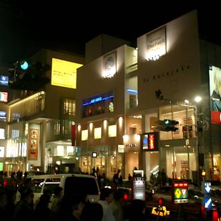 Nighttime Hustle and Bustle in Tokyo's Metropolis