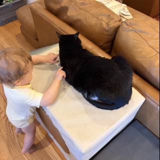Curious Encounters: Baby Meets Feline
