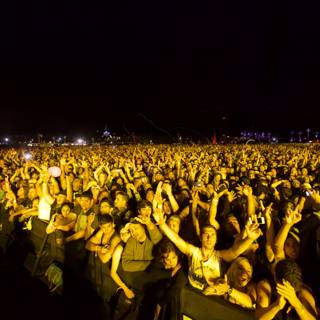 Concert Crowd under the Night Sky