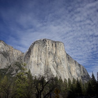 El Capitan Rising Above Yosemite Valley Floor