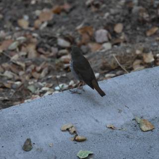 A Moment of Stillness