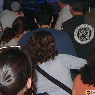 The Diverse Crowd at Coachella 2002