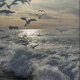 Flight Over the Farallones