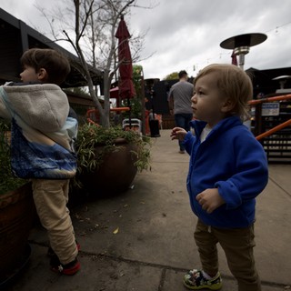Young Children Exploring a Garden Center on Cloudy Day