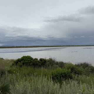 Serenity at San Pablo Bay