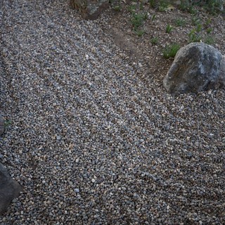 zen garden