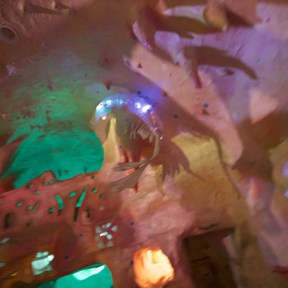 church-cathedral-or-artistic-venue-interior