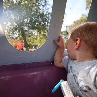 Young Child Gazing Through Playground Window