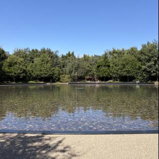 Serenity at Apple Park