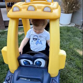 Joyride in the Backyard