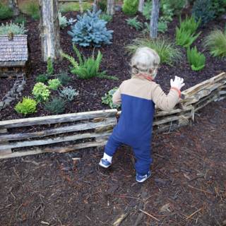 Curious Steps in Thistlewyck