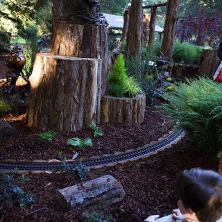 Private backyard garden
