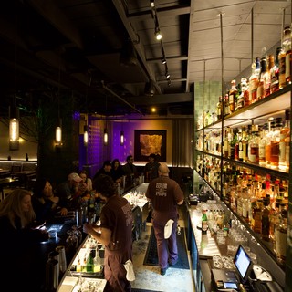 Upscale Cocktail Bar with Illuminated Bottle Display