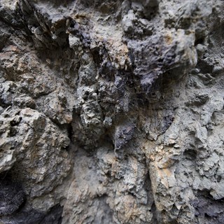 Ancient Weathered Limestone Rock Face Close-Up