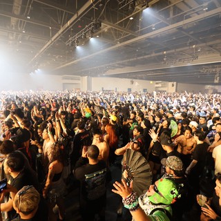 Massive Crowd Surges at Wobbleland 2026 Festival