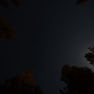Moonlit Starry Night Over Lassen's Volcanic Forest