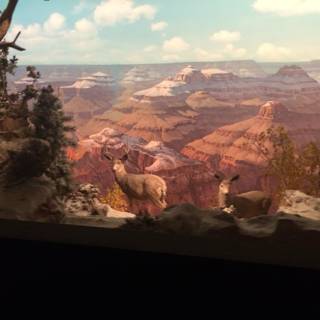 Wildlife Display with Majestic Canyon View