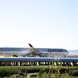 Graceful Giant: Qatar Airways Boeing 787-9 at Bayfront Park