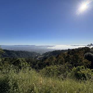 Golden Morning Over Berkeley: A Vista of Serenity