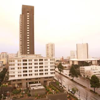 Skyline in the Urban Jungle