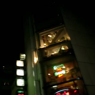 Illuminated Tokyo Government Office
