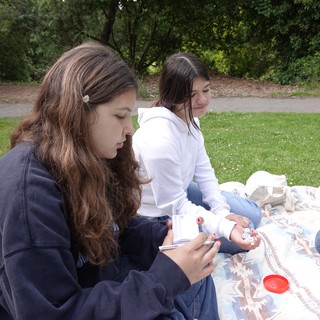 Friends Enjoying Outdoor Picnic in Park