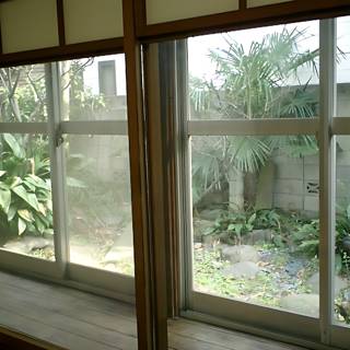 Picture-perfect Garden View from a Tokyo Window