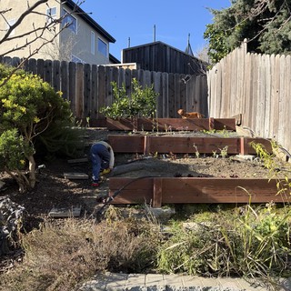Terraced Garden Renovation on a Sunny Day