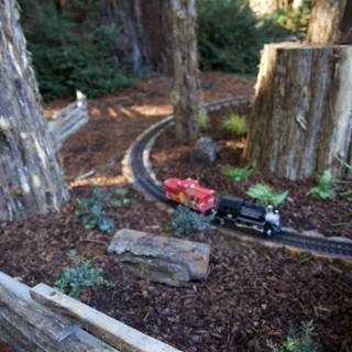 Tranquil Tracks Among the Giants