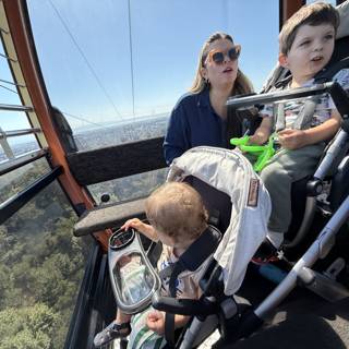 High Above the Trees